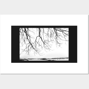 Snow blanket landscape Posters and Art